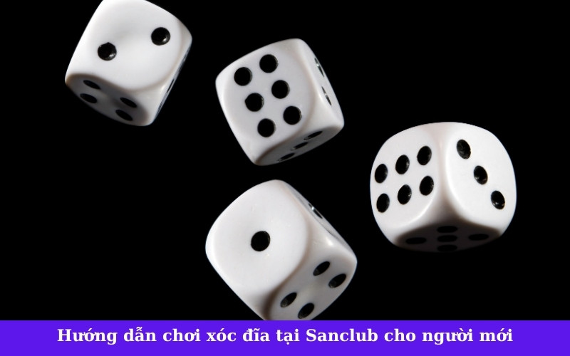 Hướng dẫn chơi xóc đĩa tại Sanclub cho người mới
