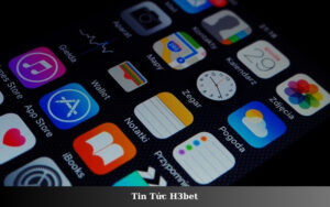 Tin Tức H3bet