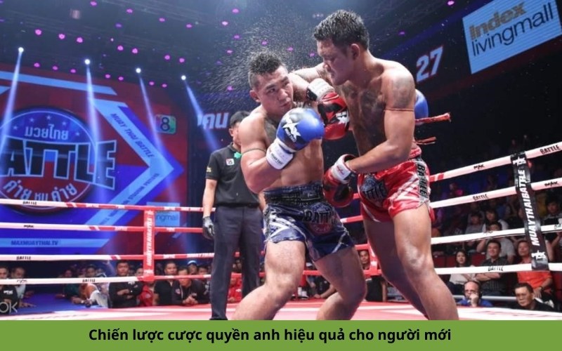 Chiến lược cược quyền anh hiệu quả cho người mới