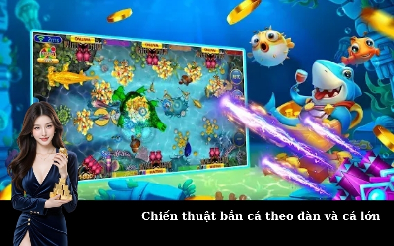 Chiến thuật bắn cá theo đàn và cá lớn