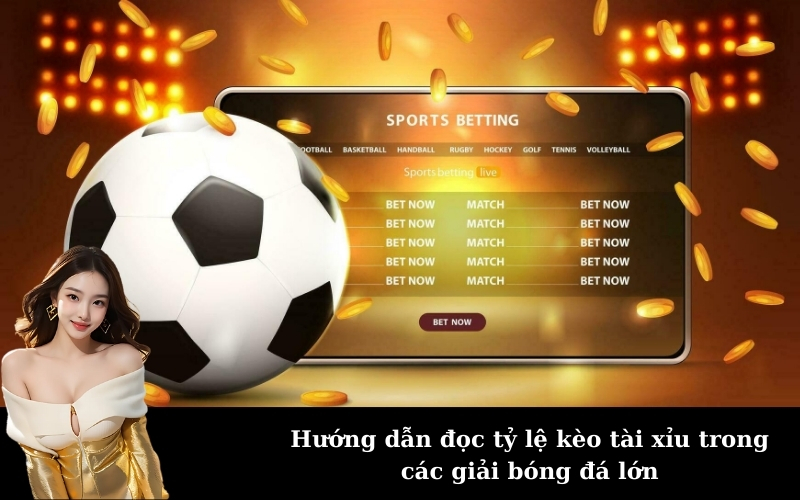 Hướng dẫn đọc tỷ lệ kèo tài xỉu trong các giải bóng đá lớn