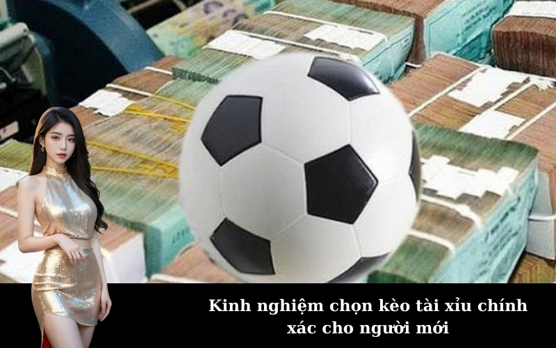 Kinh nghiệm chọn kèo tài xỉu chính xác cho người mới