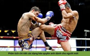 Phân tích chi tiết các dạng kèo quyền anh dành cho người mới
