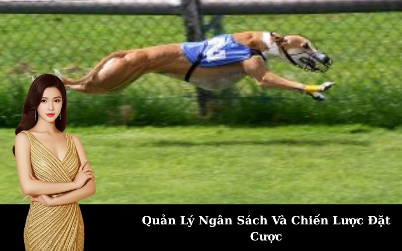 Quản Lý Ngân Sách Và Chiến Lược Đặt Cược